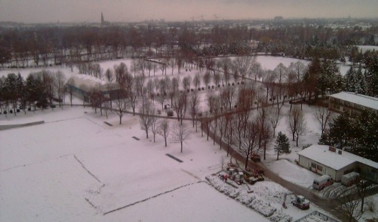 Post Date:2010/11/29