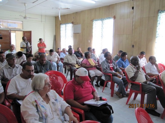 Post Date:2011/11/22