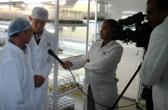 Post Date:2015/11/27