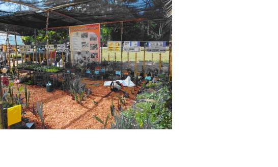 張貼日期：2012/5/5