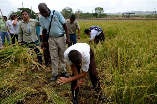 張貼日期：2013/7/18