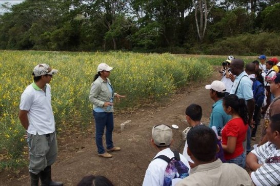 張貼日期：2013/7/18