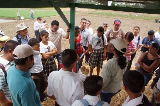 張貼日期：2013/7/18