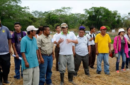 張貼日期：2013/7/18