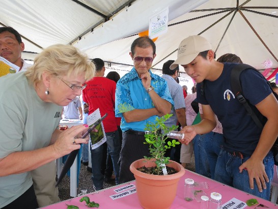 張貼日期：2014/10/17