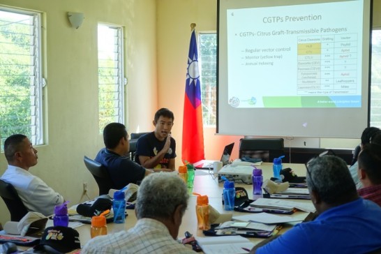 講習實況，分析不同類型的CGTPs。於嫁接後，管理上需特地注意的媒介害物種類。