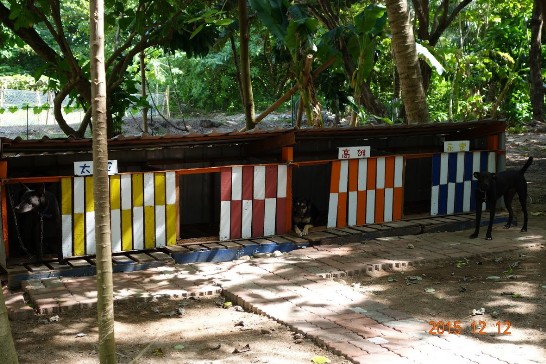 Taiping Island guard dogs