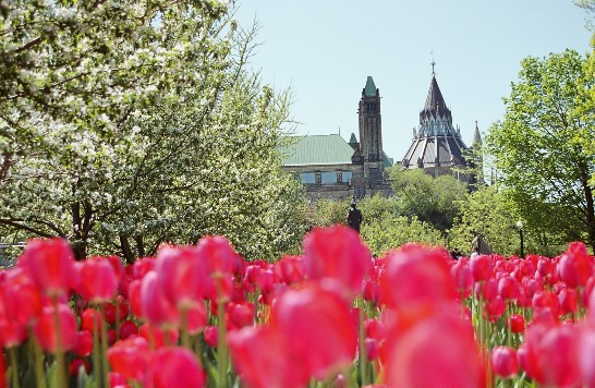 date d'affichage：2007/6/6