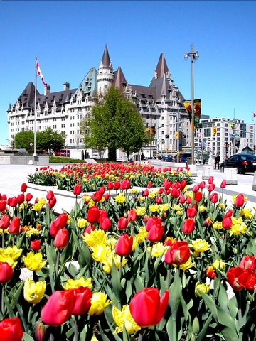 date d'affichage：2006/4/5