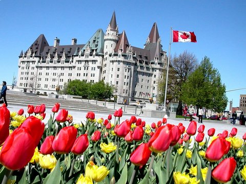 date d'affichage：2006/4/5