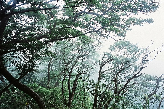 Award-winning films from Taiwan featured in Asian Heritage Month