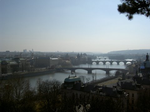 張貼日期：2006/5/22