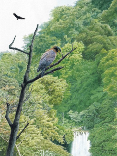 邱承宗自然生態畫展