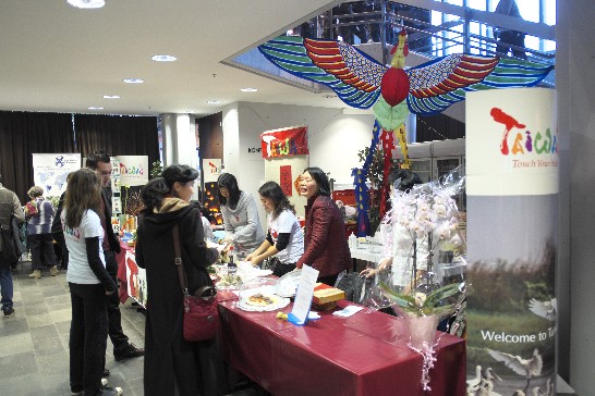 德國紐倫堡及愛爾蘭根區台灣婦女聯誼會於101年11月11日參加Erlangen市國際文化節!