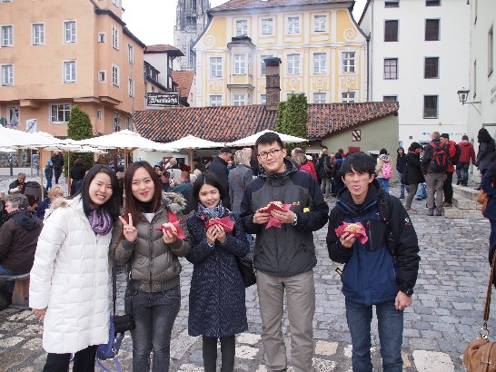 慕尼黑台灣同學會於102年10月12日舉辦慶祝中華民國國慶暨同學會迎新活動!