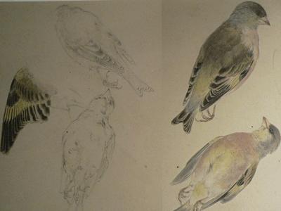 Arte científico y ciencia artística