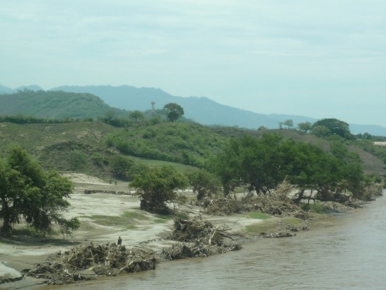 fecha de publicación:2010/6/15