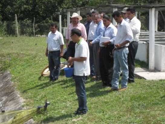 fecha de publicación:2012/4/4