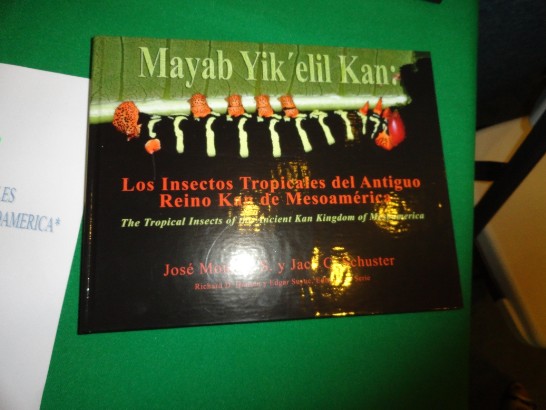 fecha de publicación:2013/5/30