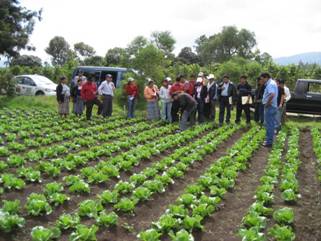 fecha de publicación:2009/12/1