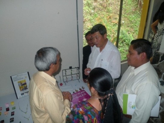 fecha de publicación:2009/6/22