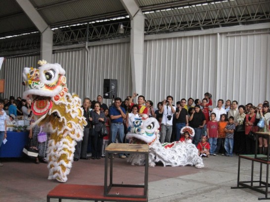 Presentaciones culturales: Danza de leones