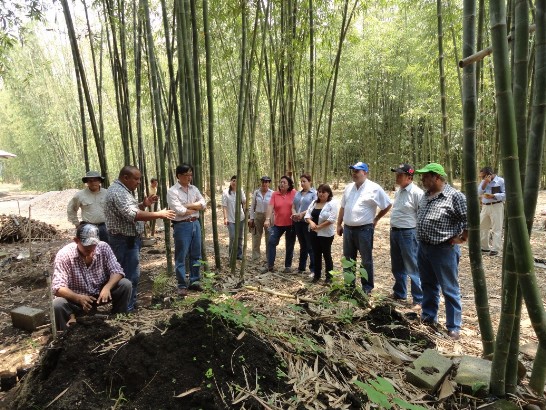 張貼日期：2013/4/24