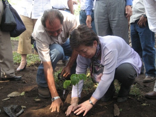 張貼日期：2009/1/23