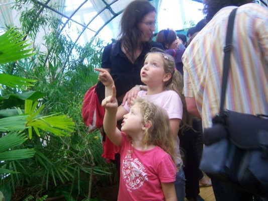 beküldési időpont：2010/5/14