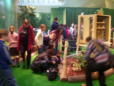 beküldési időpont：2009/2/17