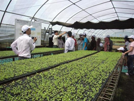 Post Date:2012/12/11