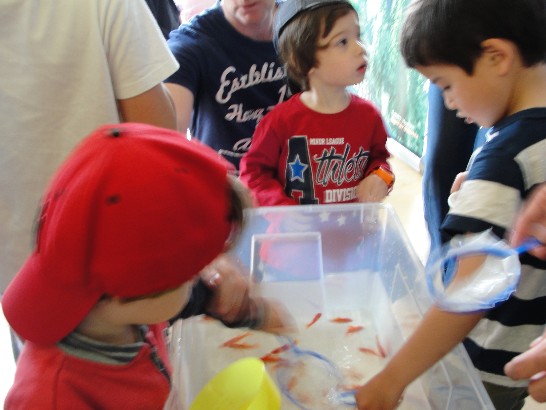 張貼日期：2015/6/30