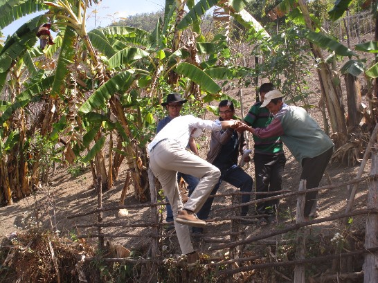 It took some efforts for experts to climb up to the very steep Kiwi farms.