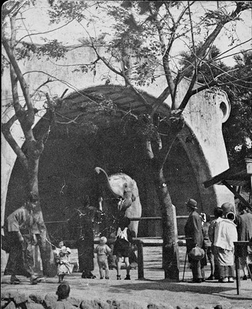 「台北動物園」が開園１００周年