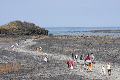 台湾海峡に浮かぶ美しい島々。澎湖諸島には数多くの観光名所がありますが、ここはその中でも奇観中の奇観として知られています。奎壁山と呼ばれるこの島は馬公島の東北に位置しています。ここは言ってみれば「台湾版・モーゼの奇跡」。干潮になると岩礁が現れ、徒歩で奎碧山まで行けるのです。その様子はまさに海が割れて道が出現するといった感じです。澎湖近海は干満差が大きいため、干潮時になると、こういった光景が見られます。季節を問わず、毎日起きる現象ですが、その距離は500メートルほど。事前にしっかりと干潮・満潮の時刻を調べておく必要があります。島には手つかずの自然が残り、澎湖ではお馴染みの玄武岩地形も随所で見られます。山頂からの眺めもよく、北海の島々が見おろせます。日本人旅行者にはまだあまり知られていませんが、ぜひ訪れてみたい奇観です。