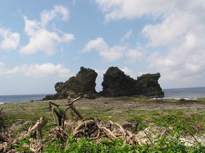 蘭嶼は台東の東南76キロの海上に浮かぶ島。周囲は37キロほどの島ですが、奇岩怪石が多く、多様な景観が楽しめます。今回ご紹介する双獅岩もその一つ。ここはその名が示すように、二頭の獅子が向かい合っているように見えます。写真は島を一周する環島公路から撮影したもの。やや殺風景な中に浮かぶ巨岩は、どことなく親しみやすさを感じさせています。蘭嶼の海岸ではこういった奇岩怪石が多く見られます。たとえば、紅頭岩はインディアンの横顔のような奇岩。また、軍艦岩は洋上に浮かぶ軍艦に似ています。こちらは第二次世界大戦中に米軍が軍艦と見間違えて爆撃したというエピソードも残っています。こういった奇岩を巡ってみるのも面白いかもしれません。蘭嶼へは台東から飛行機が毎日5便前後就航しています。小型機で席が埋まってしまうことが多いので、必ず事前に予約を入れるようにしましょう。