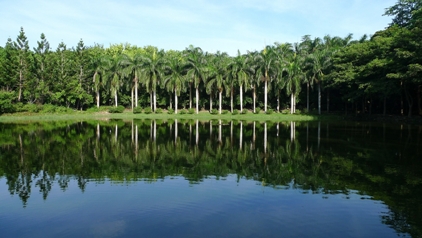 台湾の南部、台南市六甲区にある南元レジャー農場は自然生態をそのまま生かした魅惑の空間です。原始の景観と農村風景を上手に組み合わせたレジャー農場として注目されています。訪れてみると、山と湖に囲まれて、緑の楽園といった感じです。付近は独特な地理景観を有しており、敷地内には6つの天然池があります。ここには多様な自然生態が手つかずで残されているため、動物、鳥類、魚類、昆虫、植物などを観察できる絶好の場となっています。湖畔にはヨーロッパ調のロッジがあり、湖に映えるその様子は美しいかぎり。ちょっとしたレイクリゾートの雰囲気です。アクセスは新営駅前にある新営客運バスターミナルから王翁宮行きに乗車して「南湖口」で下車。1日4往復運行されています（台南県柳営郷果毅村南湖25号・06-699-0726）。