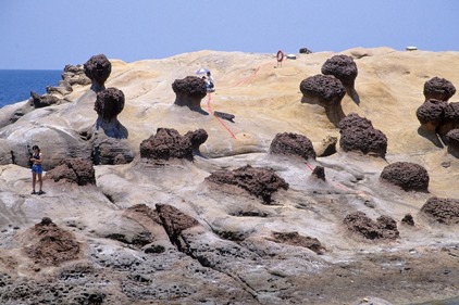 台湾北部に位置する野柳地質公園は多くの行楽客が訪れる定番の景勝地。奇岩怪石が広範囲にわたって点在し、独特な景観を誇っています。いずれも「神業」と称せられるものばかりで、大自然の神秘が感じられます。これらは波浪浸食と風化などによって形成されたもの。その様子は「天然の地質教室」と評されています。現在、岬の先端まで遊歩道が整備されており、見わたすかぎりの大海原を眺めることができます。その途中にも到るところに多様な奇岩が点在しています。メインは何と言っても「女王岩」と呼ばれるもの。クレオパトラの頭にそっくりな形をしています。基隆と淡水を結ぶ路線バスでもアクセスできますが、台北から金山行きのバスでもアクセスは可能です。できればのんびりと散策してみたいスポットです。