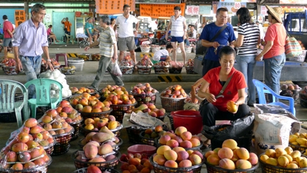 暑い時期とともにマンゴーの季節が到来しました。台湾はフルーツ天国として知られていますが、何と言っても見のがせないのはマンゴーです。台湾では南部を中心に栽培され、台南市の山麓部や屏東県が産地として知られています。マンゴーは切り身にしてそのまま食べるのが基本ですが、ここ数年はマンゴーがどっさり乗ったかき氷が人気です。台湾のマンゴーは品種改良が進んでおり、種類も豊富。現在、市場に出回っているのは30種類以上と言われています。写真は台南市玉井区の青果市場の様子。早朝から賑わいを見せますが、とにかく山積みになったマンゴーに圧倒されます。この時期はマンゴーだけでなく、ライチなどもシーズンを迎えます。ライチはマンゴー以上に時期が短いので、こちらも見かけたらぜひ味わってみたいものです。