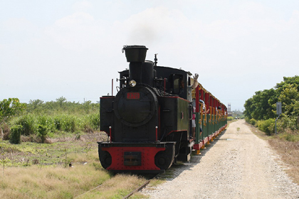 台湾南部ではかつてサトウキビの運搬に使用されていた製糖鉄道を再整備した観光列車が人気を集めています。ここ烏樹林もその一つ。台湾では唯一、蒸気機関車の定期運転が実施されている場所です。歴史を感じさせる老駅舎の脇には大きなガジュマルの樹が繁茂し、構内にはいくつかの車両も展示されています。蒸気機関車は２キロの道のりを往復１時間で走ります。現在、蒸気機関車が走るのは週末のみで１０時３０発の１便だけ。行き止まり式の終点駅では機関車の付け替え作業を行って出発します。平日は小さなディーゼル機関車が同じ客車を牽引します。こちらは平日こそ午前と午後の１往復ですが、週末になると便数が増えます。運賃は大人１００元、子供８０元。予約は不要ですが、早めの到着をおすすめします。なお、蒸気機関車の運転状況については、故障や修理に伴う運休もあり得るので、できるだけ事前に電話で運行状況を確認するようにしましょう（06- 685-2681）。