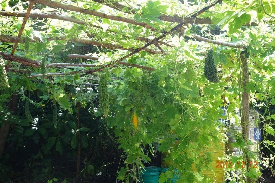 張貼日期：2015/12/16