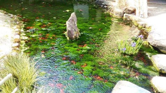 張貼日期：2014/4/18