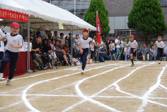 発信日時：2013/11/6