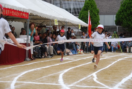 発信日時：2013/11/6