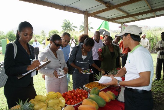 張貼日期：2010/6/1