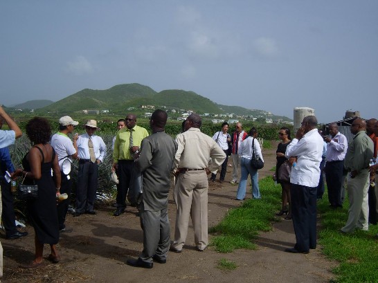 張貼日期：2010/6/1