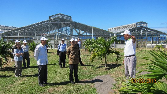 張貼日期：2013/2/6