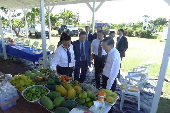 張貼日期：2013/2/7