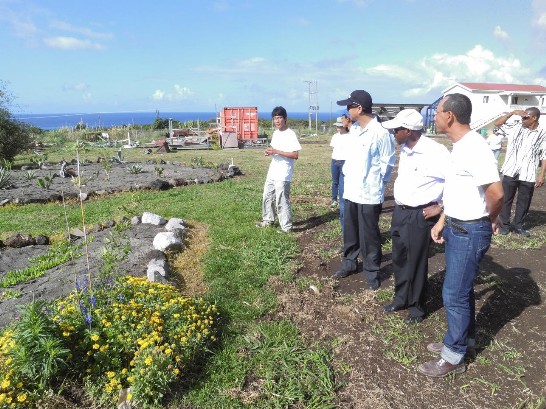 張貼日期：2014/1/25