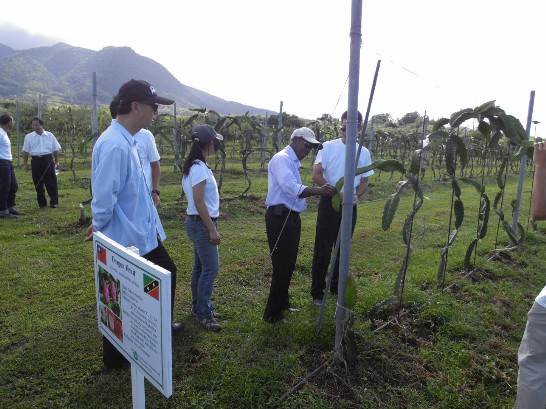 張貼日期：2014/1/25